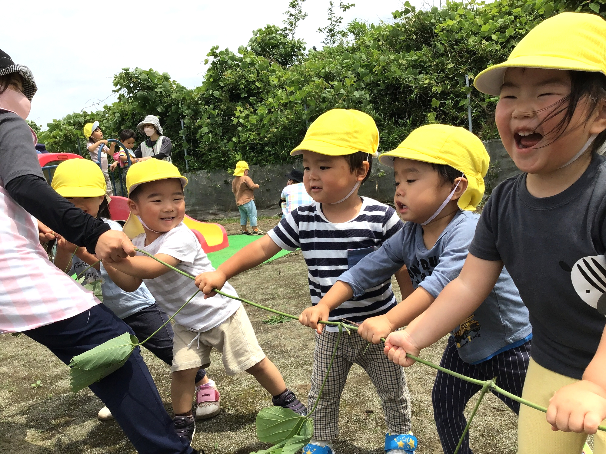 1.2歳児